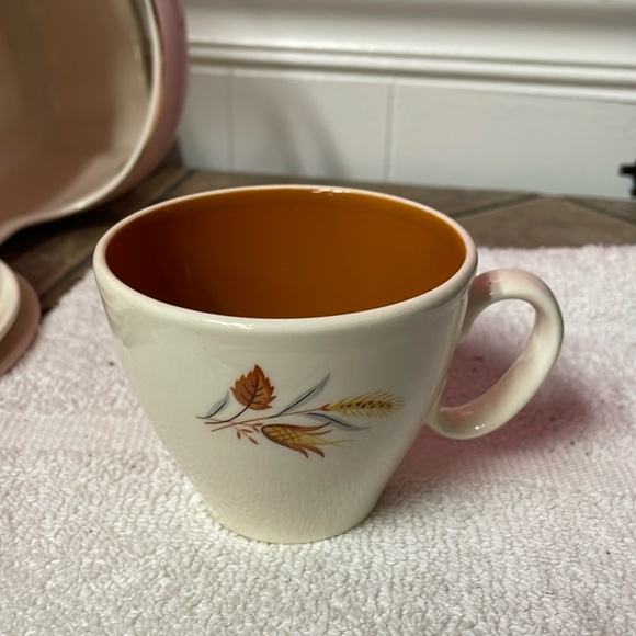 Vintage Taylor Smith “Autumn Harvest” teacup - Picture 1 of 2